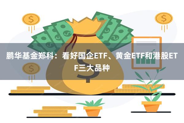 鹏华基金郑科：看好国企ETF、黄金ETF和港股ETF三大品种