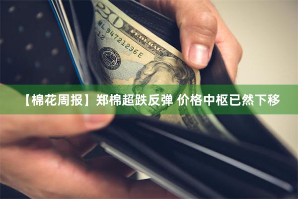 【棉花周报】郑棉超跌反弹 价格中枢已然下移