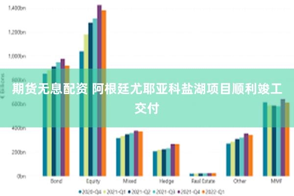 期货无息配资 阿根廷尤耶亚科盐湖项目顺利竣工交付