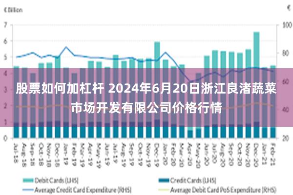 股票如何加杠杆 2024年6月20日浙江良渚蔬菜市场开发有限公司价格行情