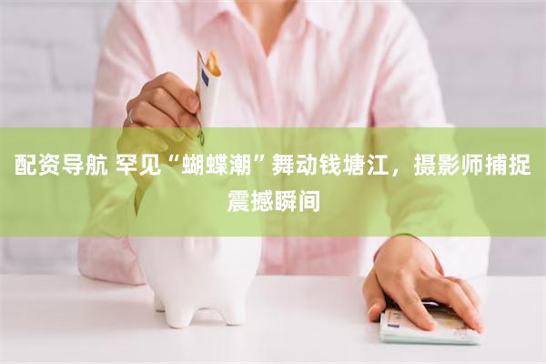 配资导航 罕见“蝴蝶潮”舞动钱塘江，摄影师捕捉震撼瞬间