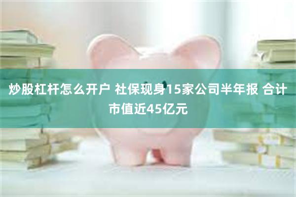 炒股杠杆怎么开户 社保现身15家公司半年报 合计市值近45亿元