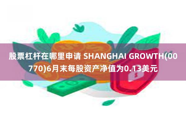 股票杠杆在哪里申请 SHANGHAI GROWTH(00770)6月末每股资产净值为0.13美元