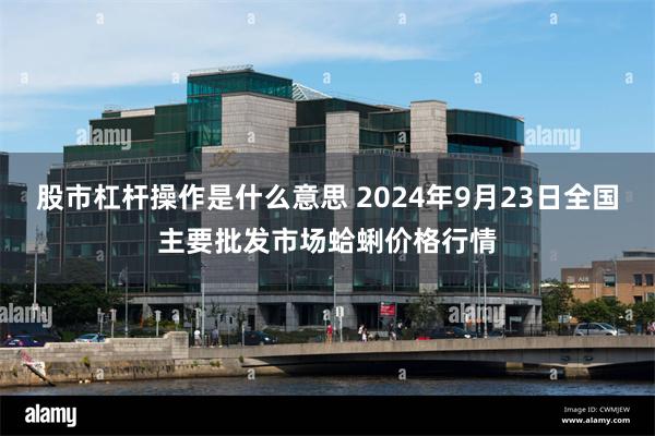 股市杠杆操作是什么意思 2024年9月23日全国主要批发市场蛤蜊价格行情