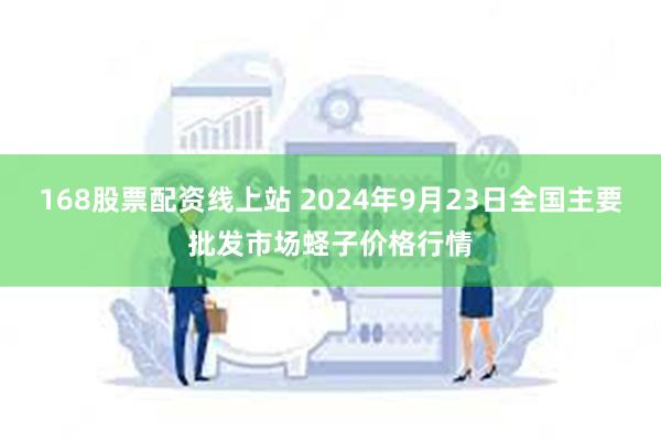 168股票配资线上站 2024年9月23日全国主要批发市场蛏子价格行情