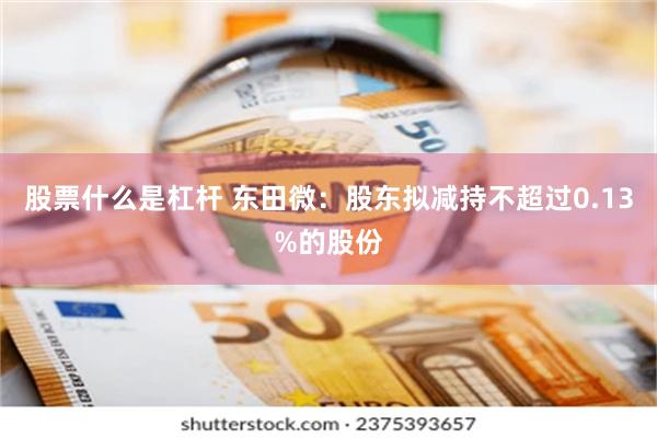 股票什么是杠杆 东田微：股东拟减持不超过0.13%的股份