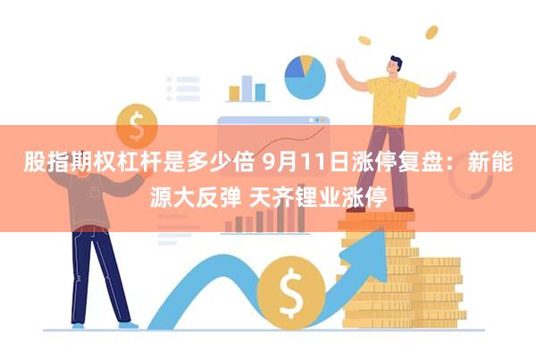 股指期权杠杆是多少倍 9月11日涨停复盘：新能源大反弹 天齐锂业涨停