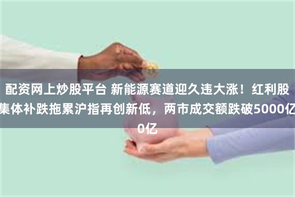 配资网上炒股平台 新能源赛道迎久违大涨！红利股集体补跌拖累沪指再创新低，两市成交额跌破5000亿