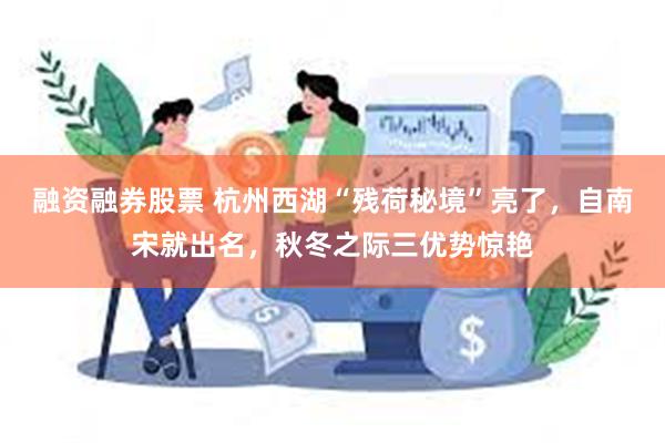 融资融券股票 杭州西湖“残荷秘境”亮了，自南宋就出名，秋冬之际三优势惊艳