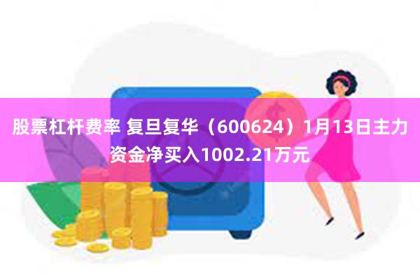 股票杠杆费率 复旦复华（600624）1月13日主力资金净买入1002.21万元