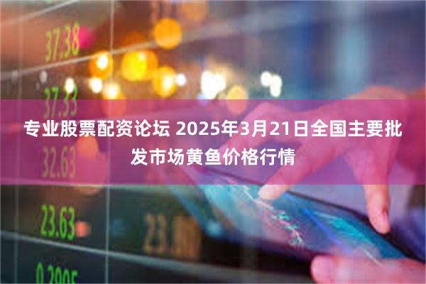 专业股票配资论坛 2025年3月21日全国主要批发市场黄鱼价格行情